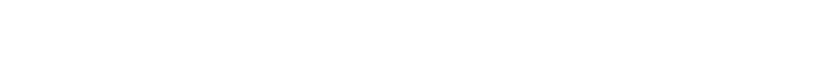 NovabusLogo
